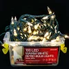 100 Led Retro Bulb Lightsi Warm White - Green Wire