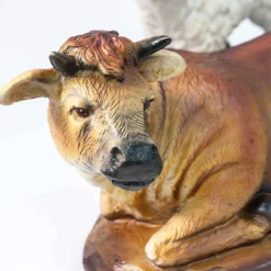 Animal Nativity Collection (Set Of 5) - Suits 45Cm Nativity