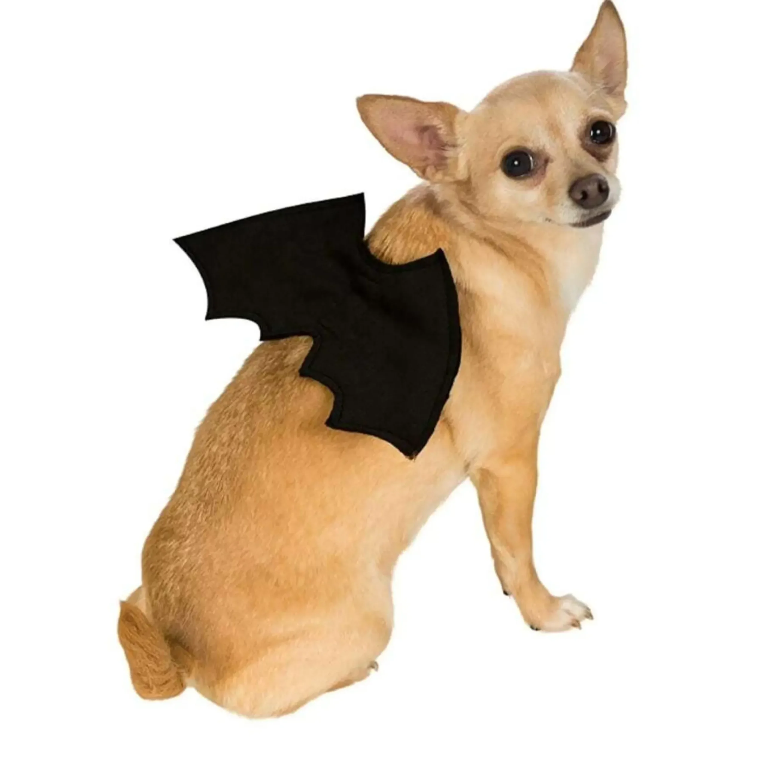 Bat Wings Pet Costume - Size M-L