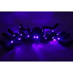 Black Spooky Furry Spider With Bright Eerie Light