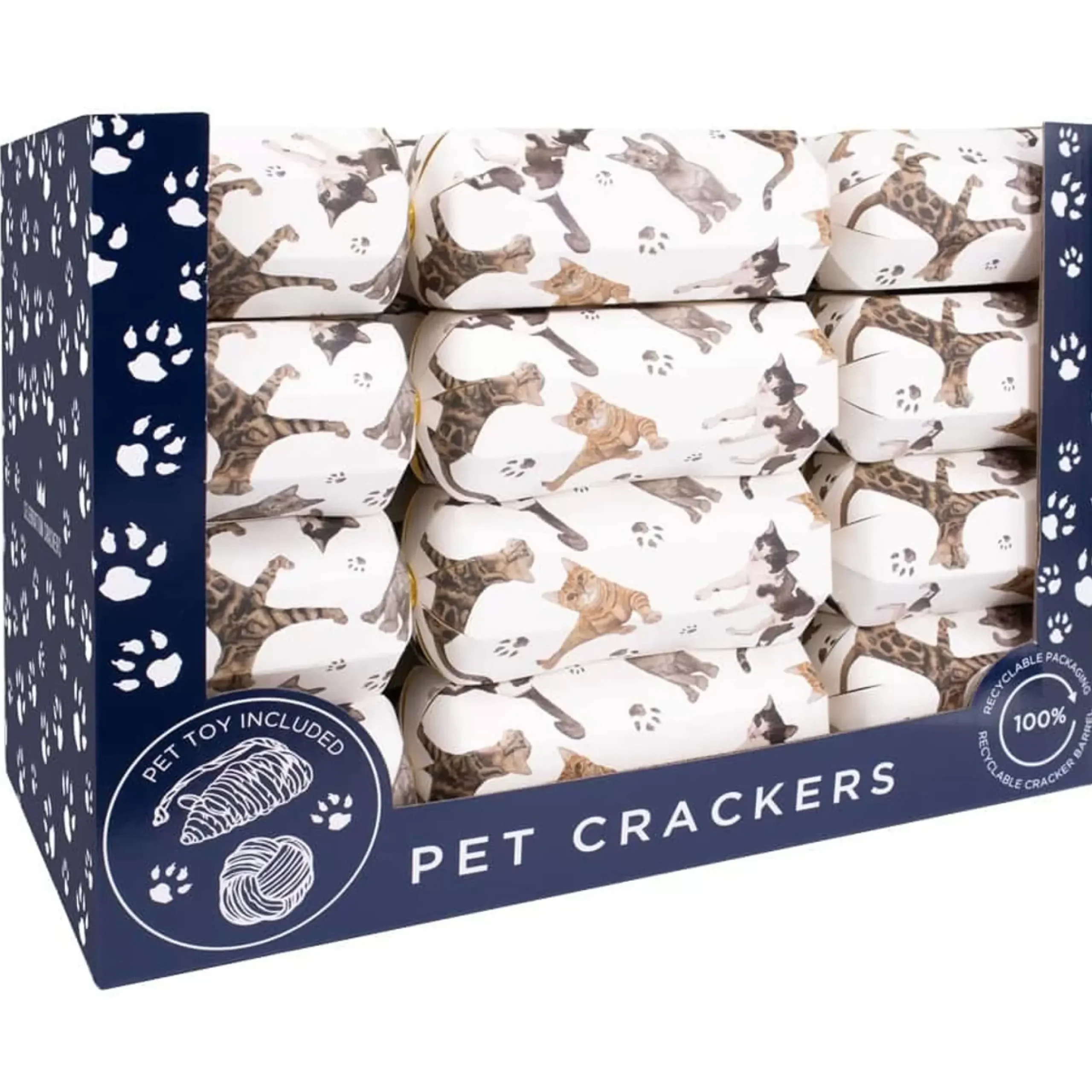 Cat Single Christmas Cracker