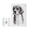 Delightful Dogs Beagle Kitchen Towel - 70Cm