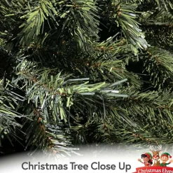 10Ft Carolina Fir Green Christmas Tree