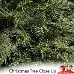 10Ft Carolina Fir Green Christmas Tree