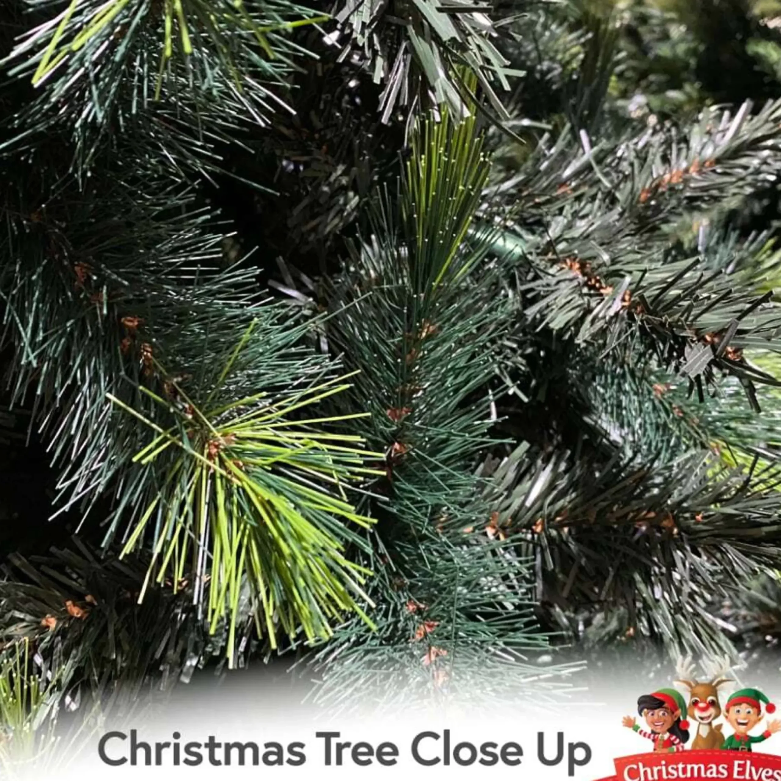 6Ft Parana Pine Mixed Green Christmas Tree