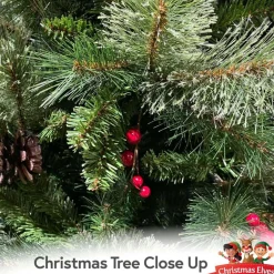 8.5Ft Regina Pine Christmas Tree