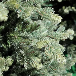 7.5Ft Slim Maclura Christmas Tree