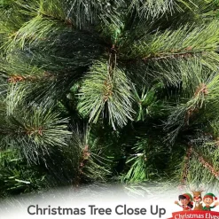 12Ft Washington Fir Green Christmas Tree