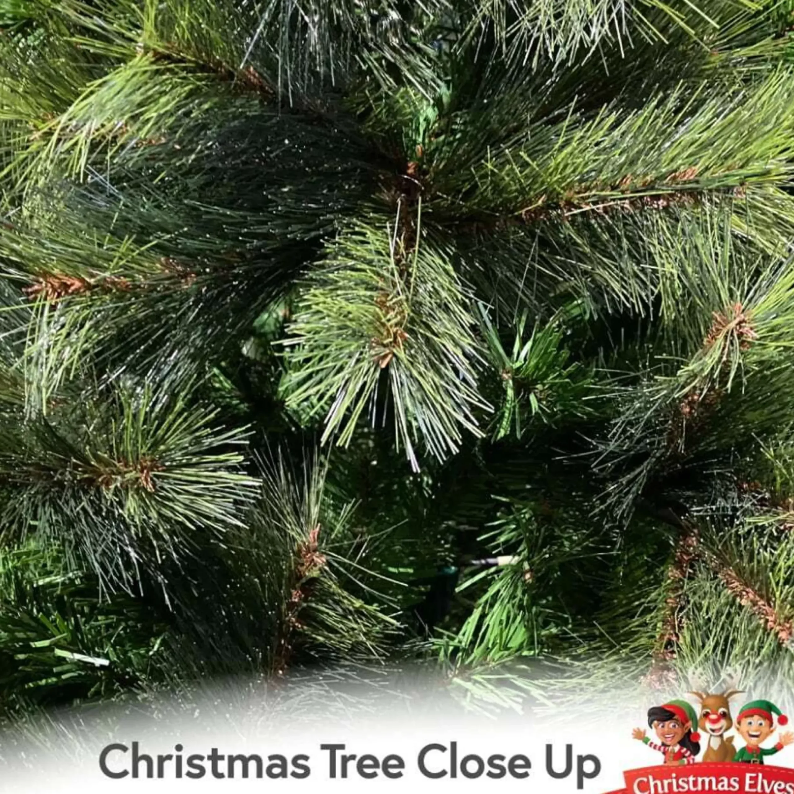 12Ft Washington Fir Green Christmas Tree