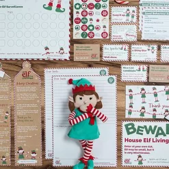 Girl Christmas Elf - Magical Reward Kit