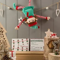 Girl Christmas Elf - Magical Reward Kit