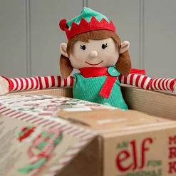 Girl Christmas Elf - Magical Reward Kit