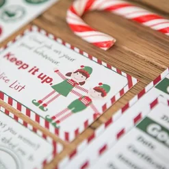 Girl Christmas Elf - Magical Reward Kit