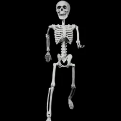 Halloween Skeleton Posable - 60Cm