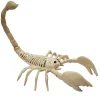 Halloween Skeleton Scorpion - 22Cm