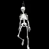 Hanging Posable Skeleton - 95Cm