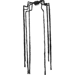 Hanging Spider With Long Legs