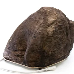 Lena Spotted Sitting Deer (Animated 2.0)