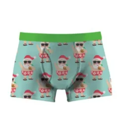 Mens Christmas Ugly Undies