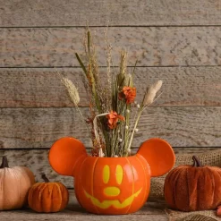 Mickey Mouse Pumpkin Plant Pot - 20Cm