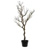 Natural Moss Potted Tree - 108Cm