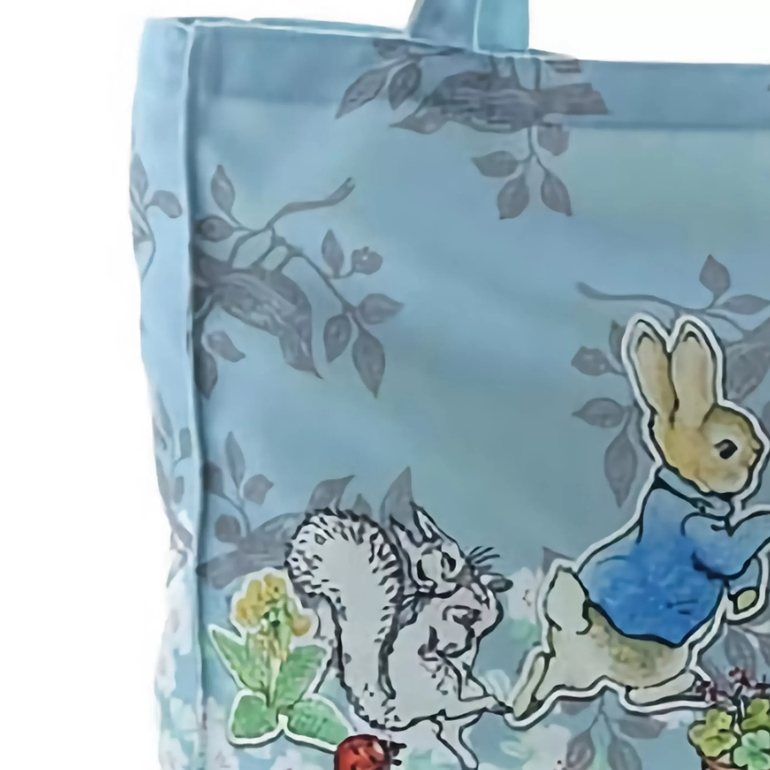 Peter Rabbit Tote Shopping Bag - 35Cm