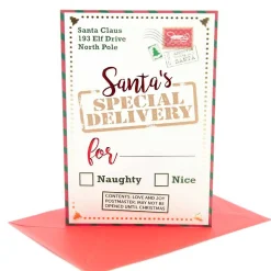 Santa's Special Delivery Card - 17Cm