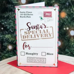 Santa's Special Delivery Card - 17Cm