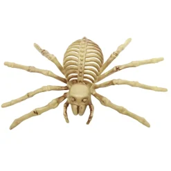Skeleton Spider - 25Cm