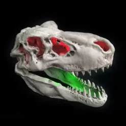 Sonic T-Rex Skull - 44Cm