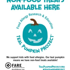 Teal Pumpkin Project Kit - 27Cm