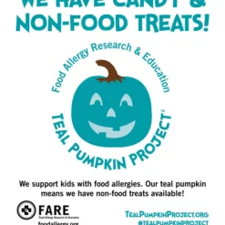 Teal Pumpkin Project Kit - 27Cm