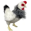 White Grey French Hen - 38Cm