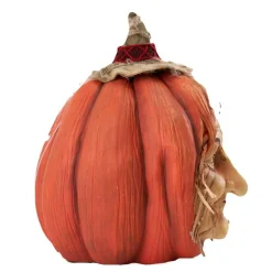 Wisteria Wildgrass Pumpkin - 41Cm